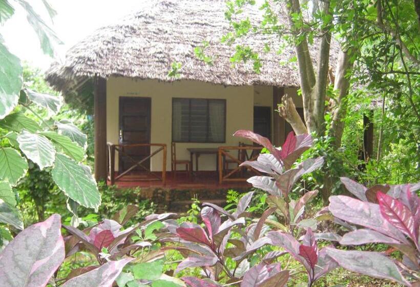 Номер Economy, Baraka Aquarium Bungalows