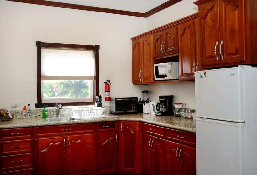 스탠다드 룸 바다 전망, Belizean Nirvana