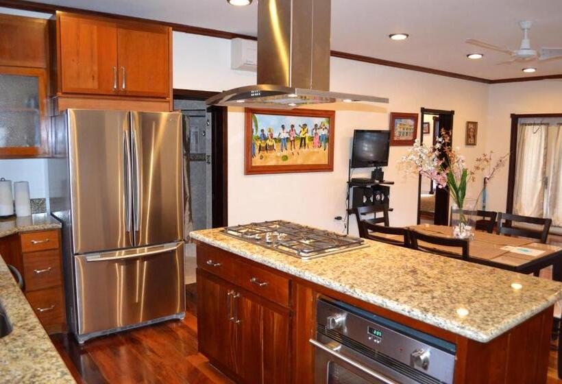 디럭스 스위트 바다 전망, Belizean Nirvana