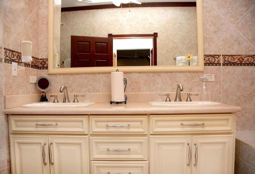 디럭스 스위트 바다 전망, Belizean Nirvana