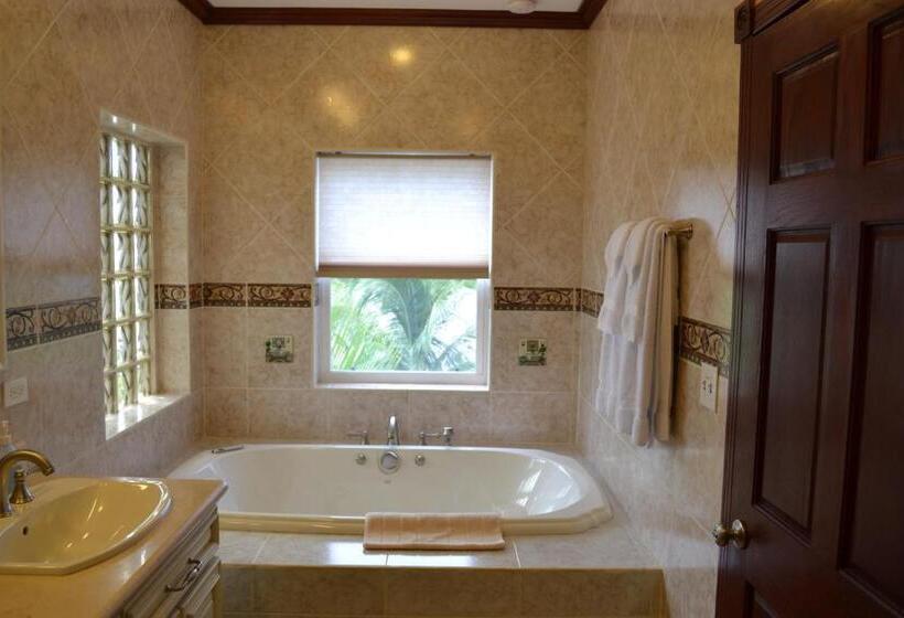 디럭스 스위트 바다 전망, Belizean Nirvana