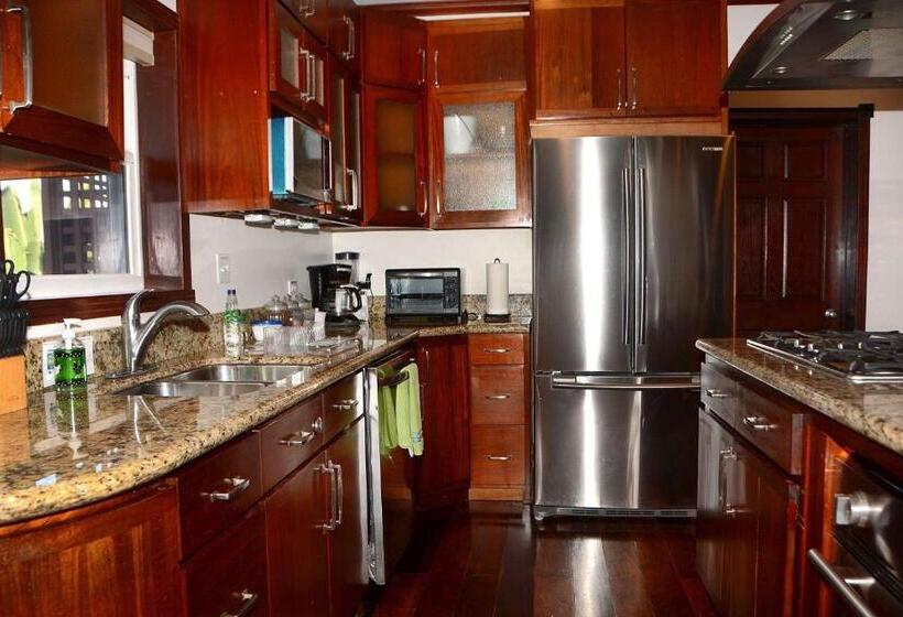 디럭스 스위트 바다 전망, Belizean Nirvana