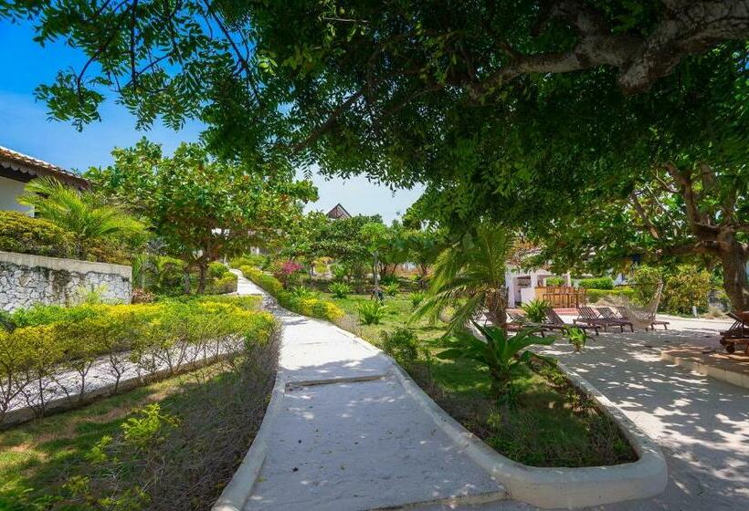 オーシャンビュースタンダードルームバルコニー付き, Warere Beach