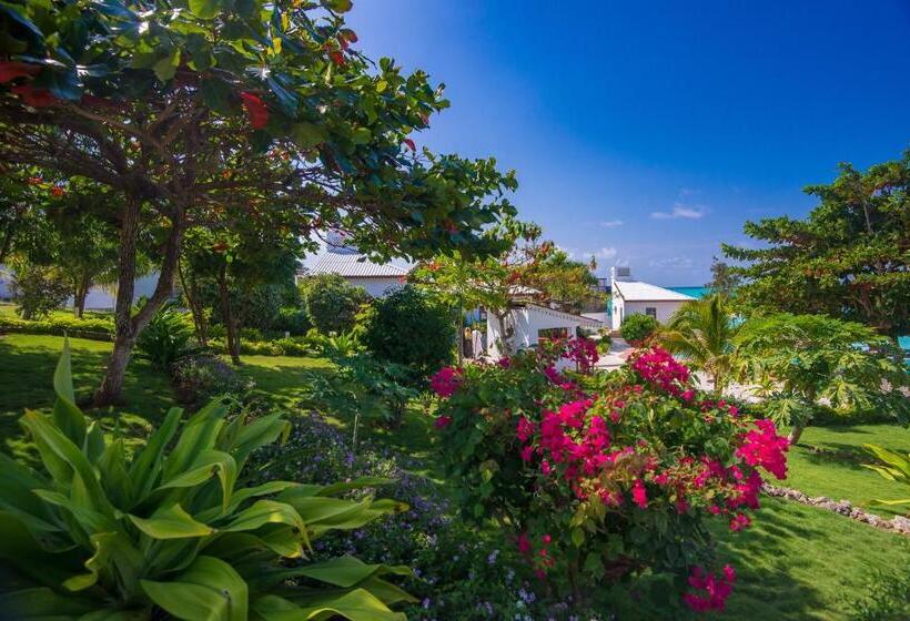 オーシャンビュースタンダードルームバルコニー付き, Warere Beach