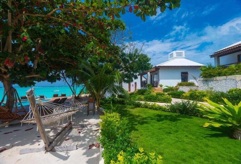 オーシャンビューデラックスルームバルコニー付き, Warere Beach