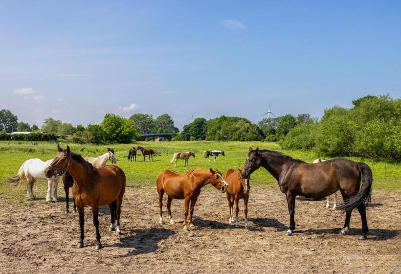 1ベッドルームアパートメント, Ferienwohnung Flori S Ponyhof
