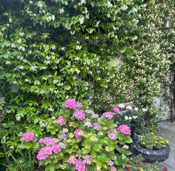 חדר דלוקס נוף לגינה, Luxurious Classical Dutch Styled Room In City Centre Of The Hague