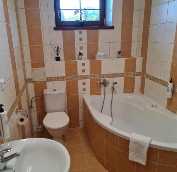 חדר סטנדרט, Penzion Mountain