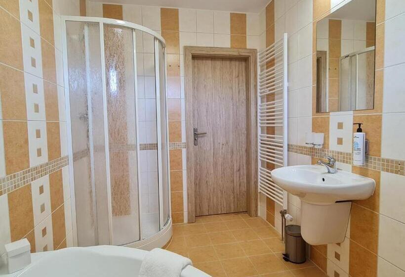 חדר סטנדרט, Penzion Mountain