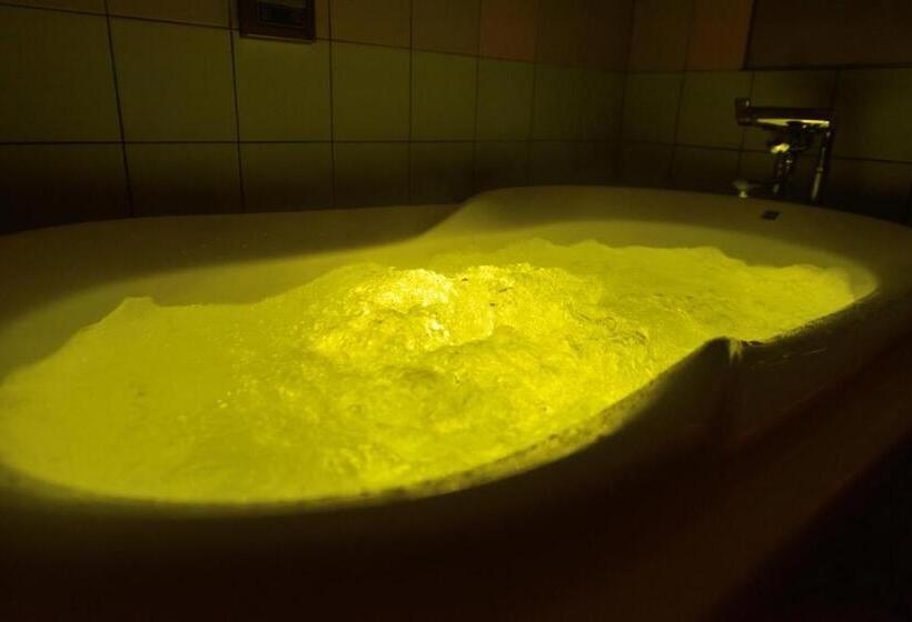 Полулюкс, ホテル エス