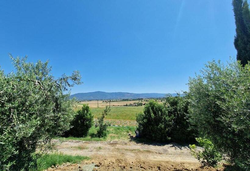 带2个卧室的高级公寓, Agriturismo Il Mandorlo