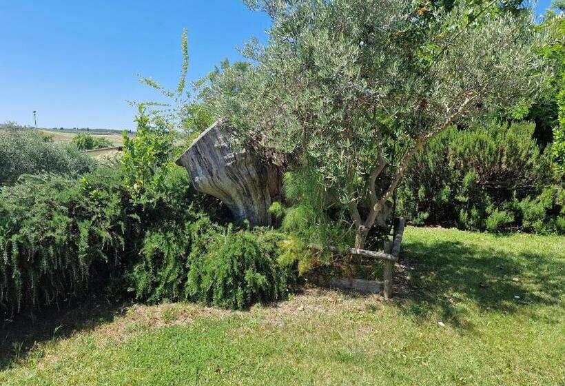 带3个卧室的高级公寓, Agriturismo Il Mandorlo