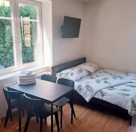 スタンダード４人部屋, Penzion U Smrku Luleč