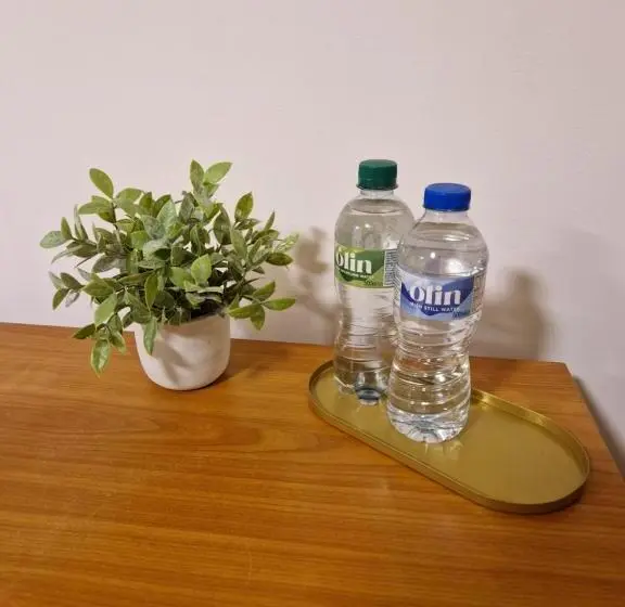 バルコニー付スイート, The Nu Place Suite