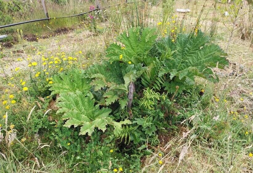 家庭洋房, Apart Hotel Estrella, 7 Min Aeropuerto Tepual