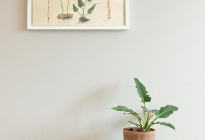 غرفة قياسية مزوَّدة بجاكوزي, Welcome Home