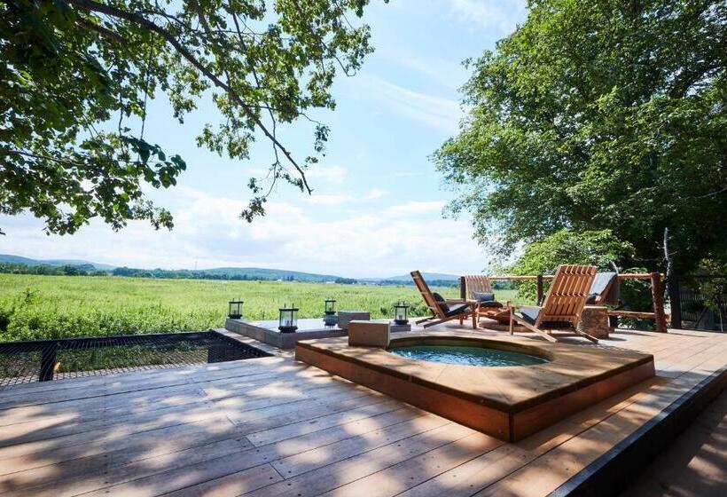 Family Suite, Soneka