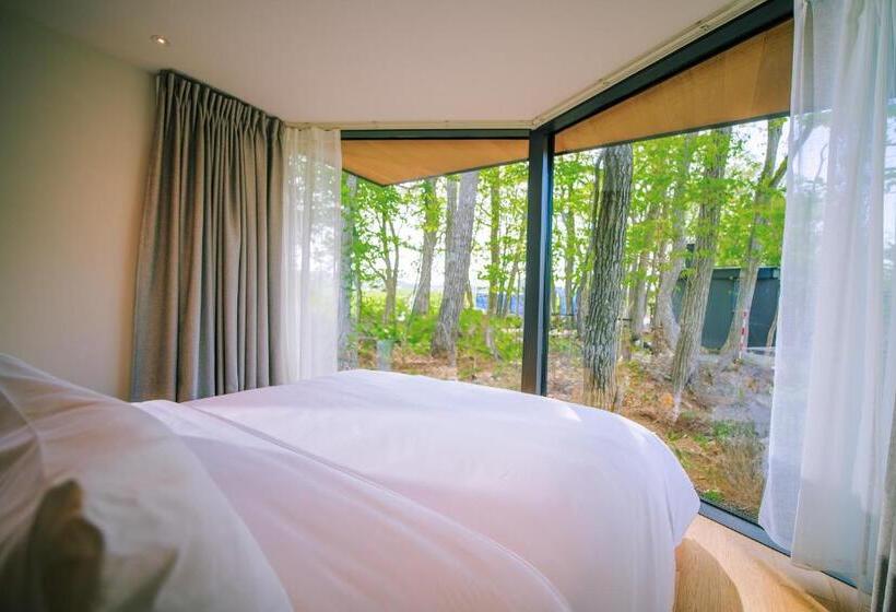 סוויטה משפחתית, Soneka