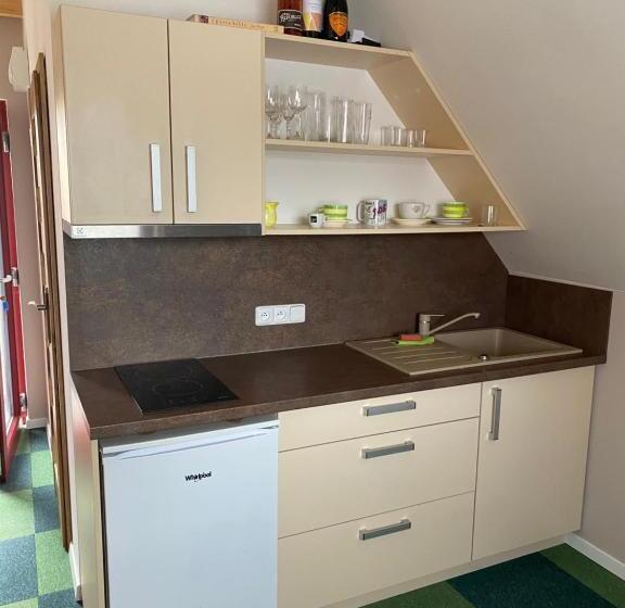 Standard studio with lake view, Ubytování Na Hrázi