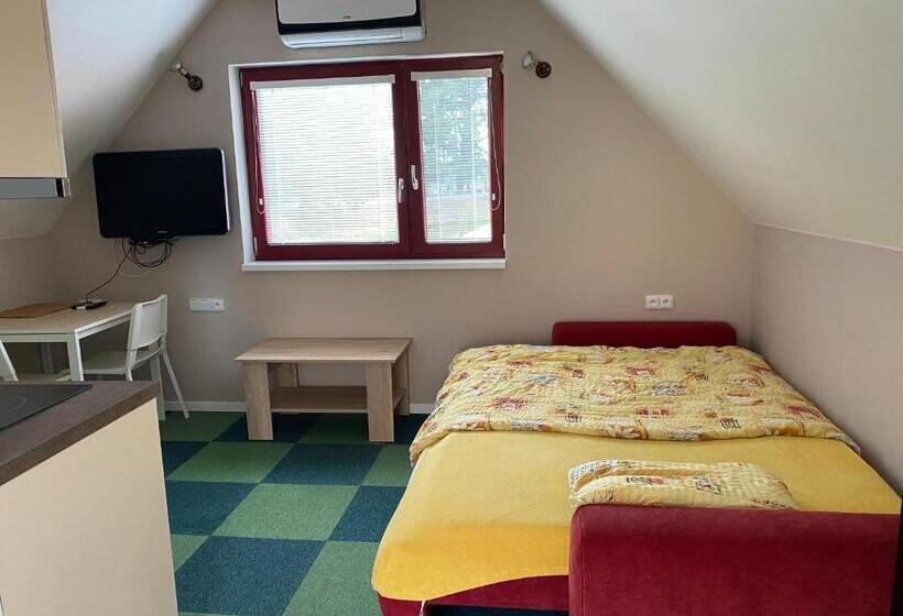 Standard studio with lake view, Ubytování Na Hrázi