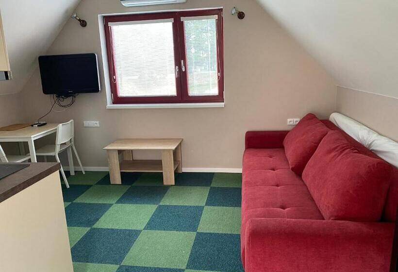 Standard studio with lake view, Ubytování Na Hrázi