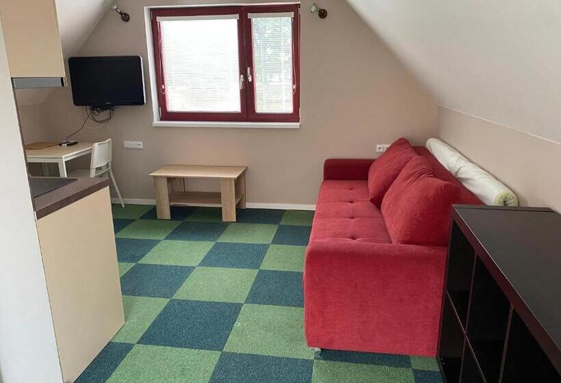 Standard studio with lake view, Ubytování Na Hrázi