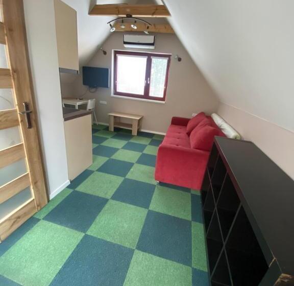 Standard studio with lake view, Ubytování Na Hrázi