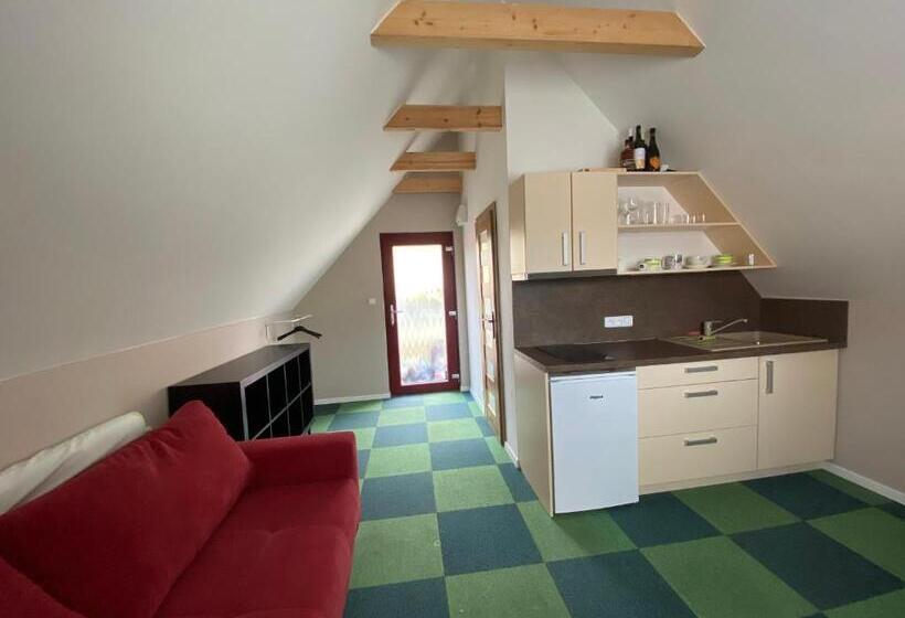 Standard studio with lake view, Ubytování Na Hrázi