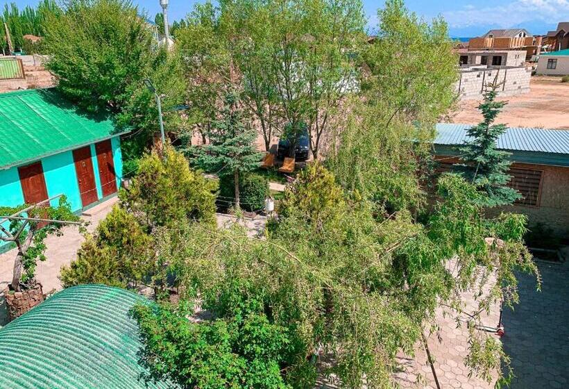 اتاق اکونومی, арноо