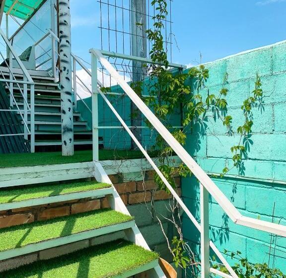 اتاق اکونومی, арноо