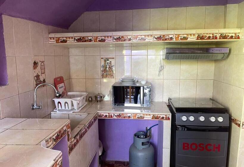 شقة غرفة واحدة مطلة على حمام السباحة, Hostal Sol De Chosica
