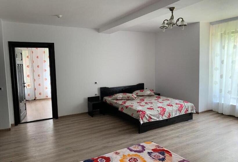 Апартаменты Deluxe 2 Спальни, Pensiunea Valea Pintei