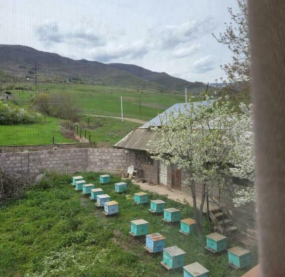 غرفة إقتصادية, B&b Odzun