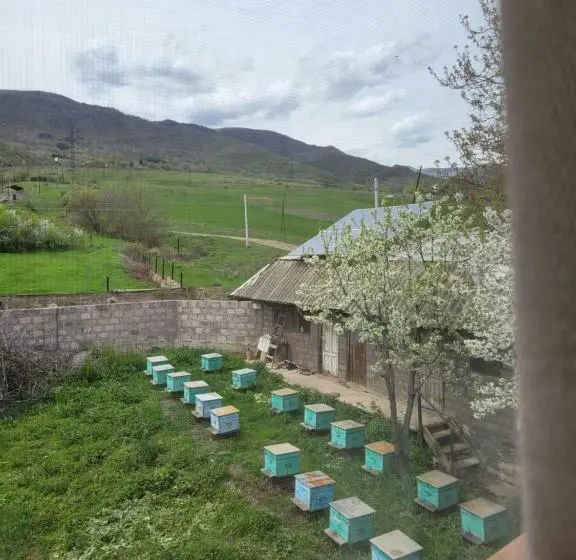 اتاق اکونومی, B&b Odzun