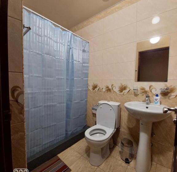 غرفة سوبيريور, B&b Odzun