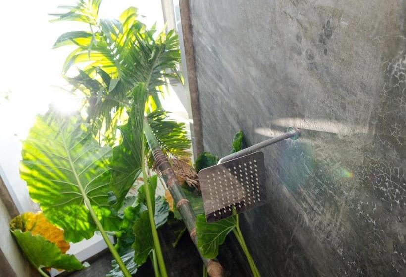 جناح عائلي, Five.s