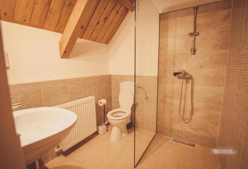 디럭스 자쿠지룸, Agropensiunea Rafila