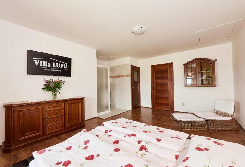Номер Стандарт с Балконом, Villa Lupu