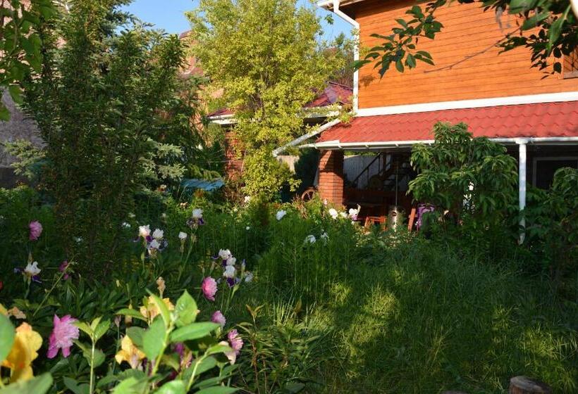 آپارتمان 1 خوابه با چشم‌انداز استخر, корсар:korsar