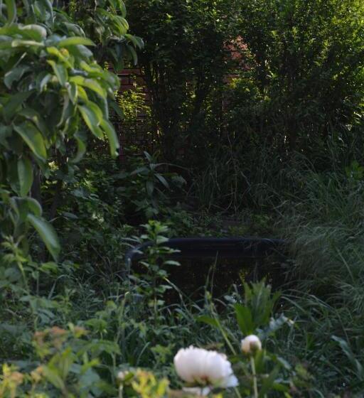 آپارتمان 1 خوابه با چشم‌انداز استخر, корсар:korsar