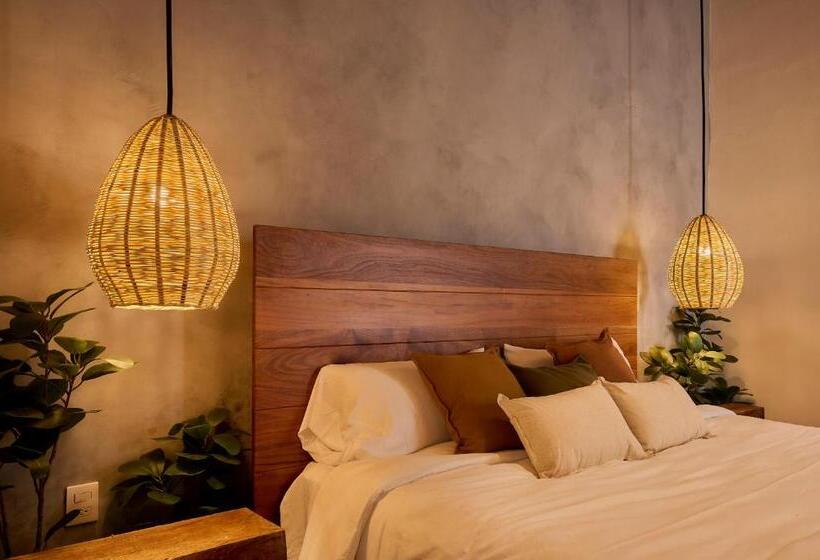 Quarto Estandar, Stay Ortenxia