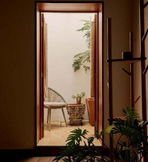 디럭스 룸, Stay Ortenxia