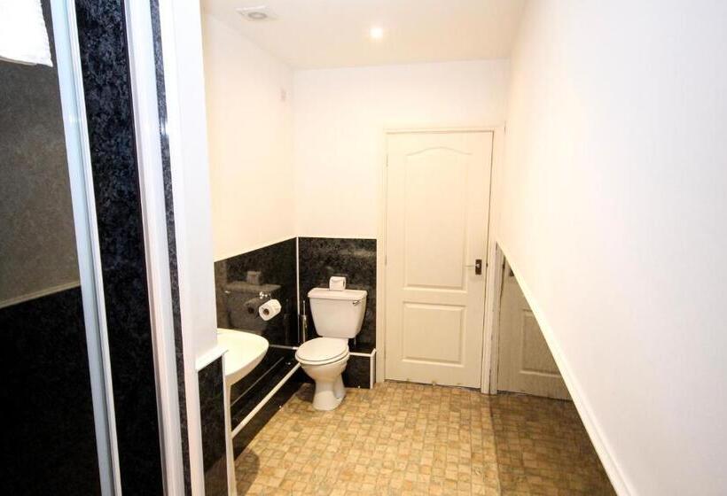 Standard Kolmen Hengen Huone, The Kings Arms