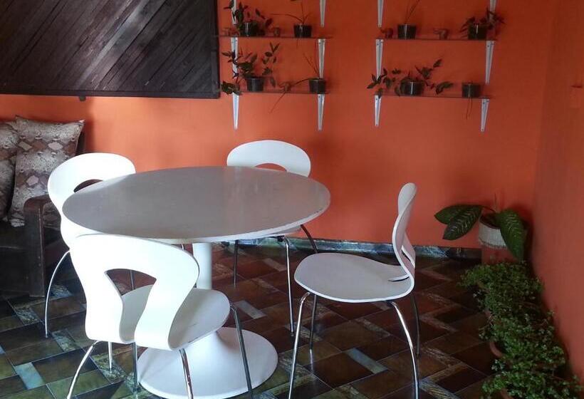 اتاق استاندارد, Golden Lilies