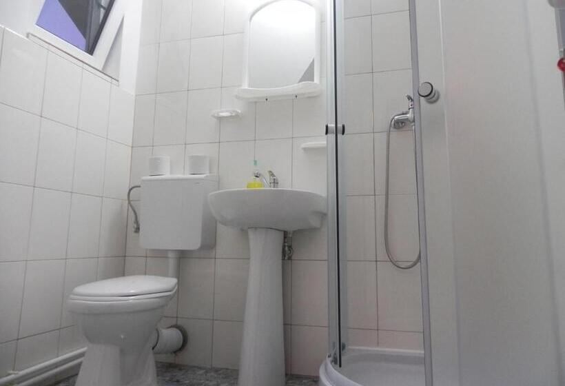 标准间, Pension Puiu