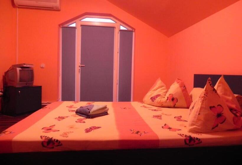 标准间, Pension Puiu