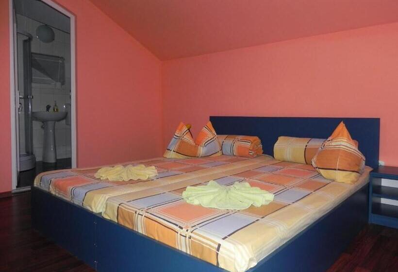 带共用浴室的标准房间, Pension Puiu