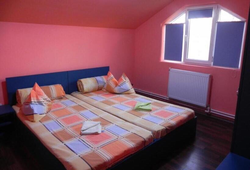 带共用浴室的标准房间, Pension Puiu