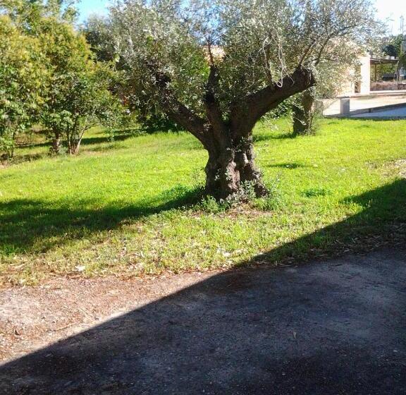 חדר סטנדרט לארבעה, Agriturismo Silitta