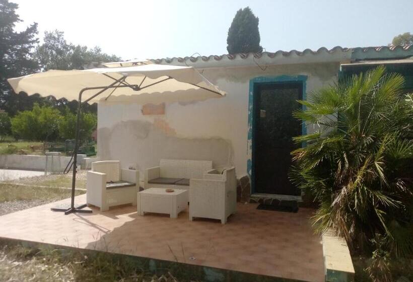 اتاق استاندارد چهار تخته, Agriturismo Silitta